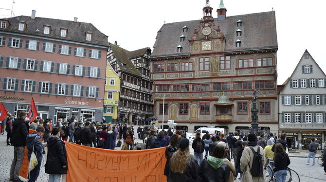 Demo gegen Palmer