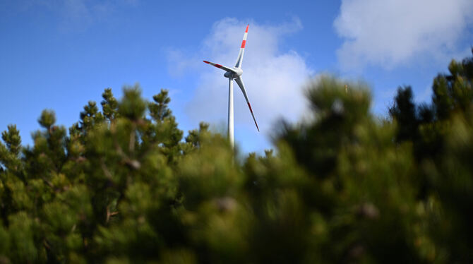 1 000 neue Windräder auf Landes- und Staatswaldflächen sind politisches Ziel der Landesregierung. Auch die Alb rückt damit wied