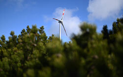  1 000 neue Windräder auf Landes- und Staatswaldflächen sind politisches Ziel der Landesregierung. Auch die Alb rückt damit wied