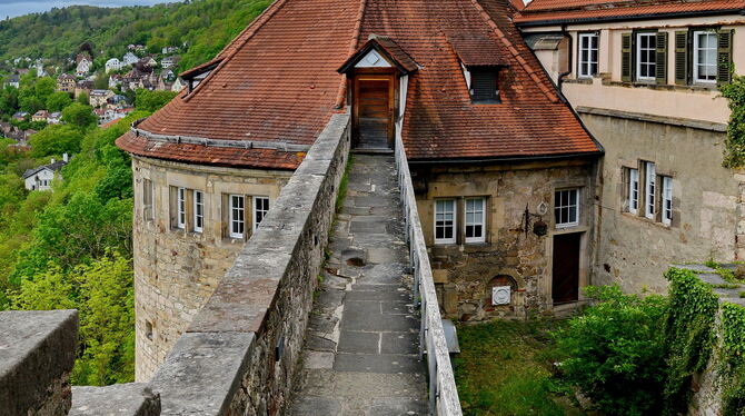 Das Domizil des Instituts: Der Haspelturm auf dem Schloss in Tübingen.  FOTO: NIETHAMMER