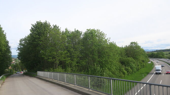Die B 27 sorgt am Rand von Walddorf im Gebiet Herdweg (links in Verlängerung zur Brücke zu sehen) für eine hohe Lärmbelastung. D