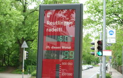 Die Fahrrad-Zählstation an der Charlottenstraße hält gelegentlich auch mal Autos für Zweiräder.