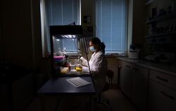 Abwasseruntersuchung