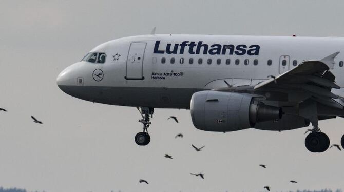 Lufthansa Lufthansa