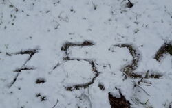 Sogar eine dünne Schneedecke gab es im Mai noch.  FOTO: HUMMEL