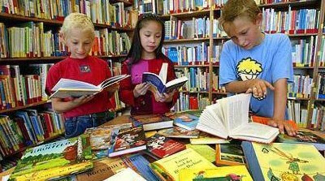 Lasst Kinder viele Bücher lesen. »Der Umsatz schafft Vorrat im Wissensspeicher«, sagt der Pädagoge Theo Kaufmann. GEA-ARCHIVFOTO