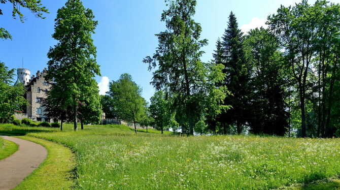 Neue touristische Attraktion: Im Park an der Südseite von Schloss Lichtenstein sollen bald Zäune für ein Wildgehege gezogen werd