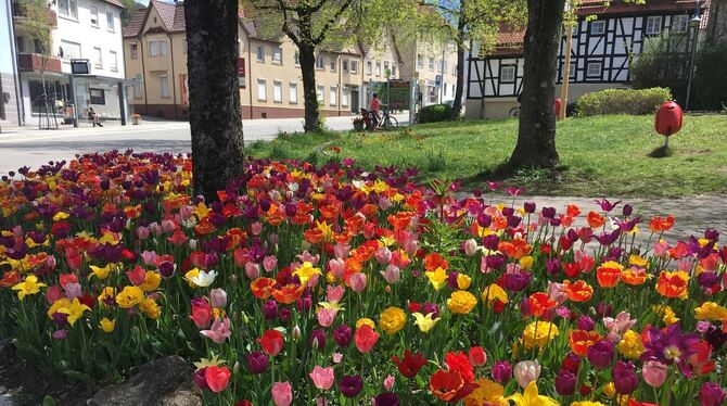 Ein Farbenmeer in Gönningens Ortsmitte. FOTO: PRIVAT