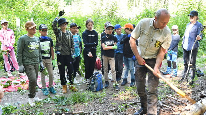 Neu gepflanzten Bäumen im Dusslinger Wald droht die Überwucherung. Schüler schnitten die Jungpflanzen frei.  FOTO: MEYER