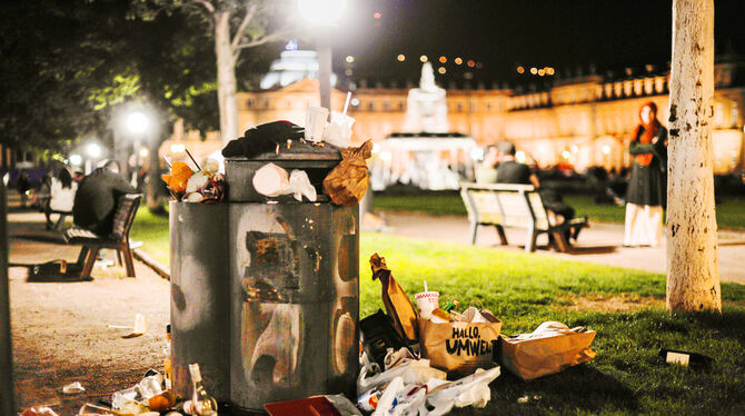 Alles zum Mitnehmen, nur der Müll bleibt liegen. So sieht es an Wochenenden am Eckensee aus.  FOTO: BAUR