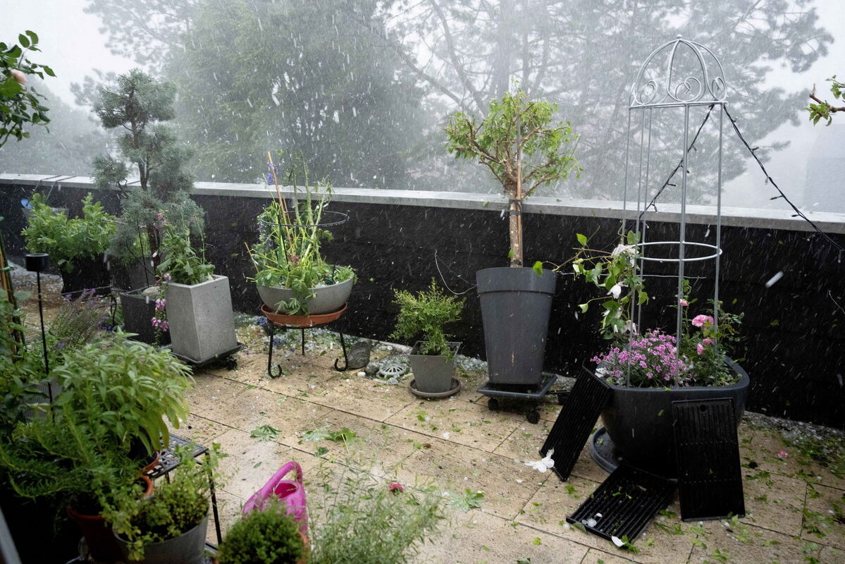 2703_Bildgröße ändern_Bildgröße ändern_Bildgröße ändern