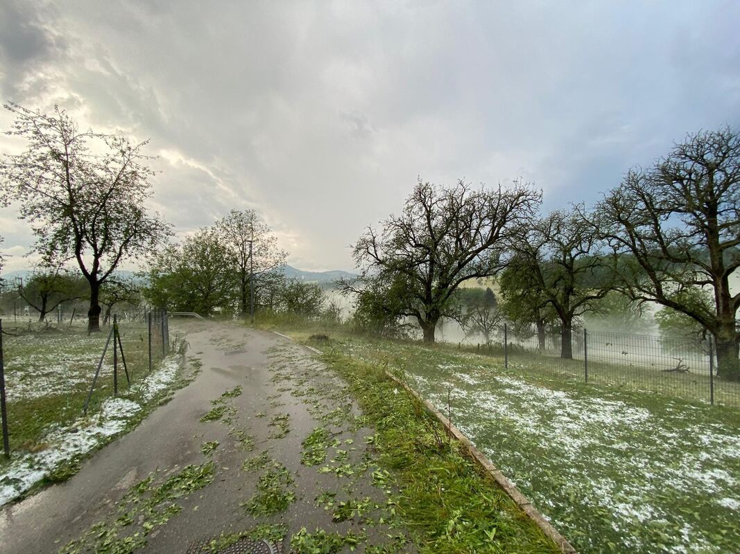 schaden_reicheneck_2306201_m_kalkhof_3