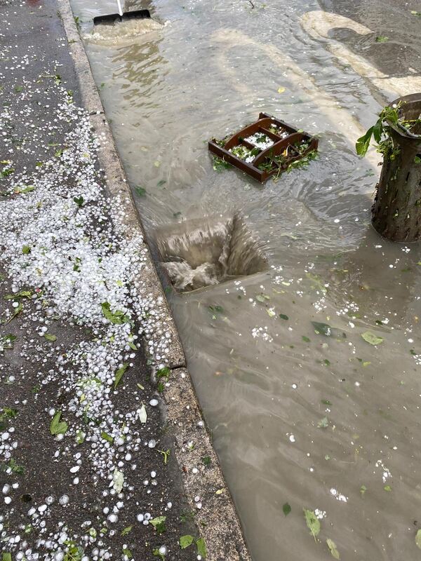 schaden_reicheneck_2306201_m_kalkhof_4