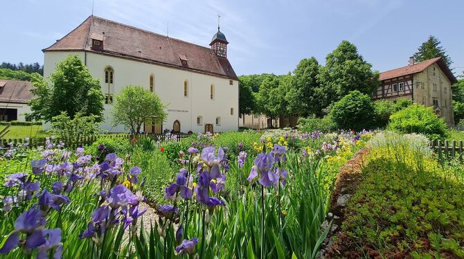 Der Irisgarten vor der Klosterkirche Offenhausen.
