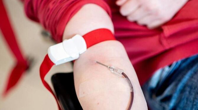 Blutspende Blutspende