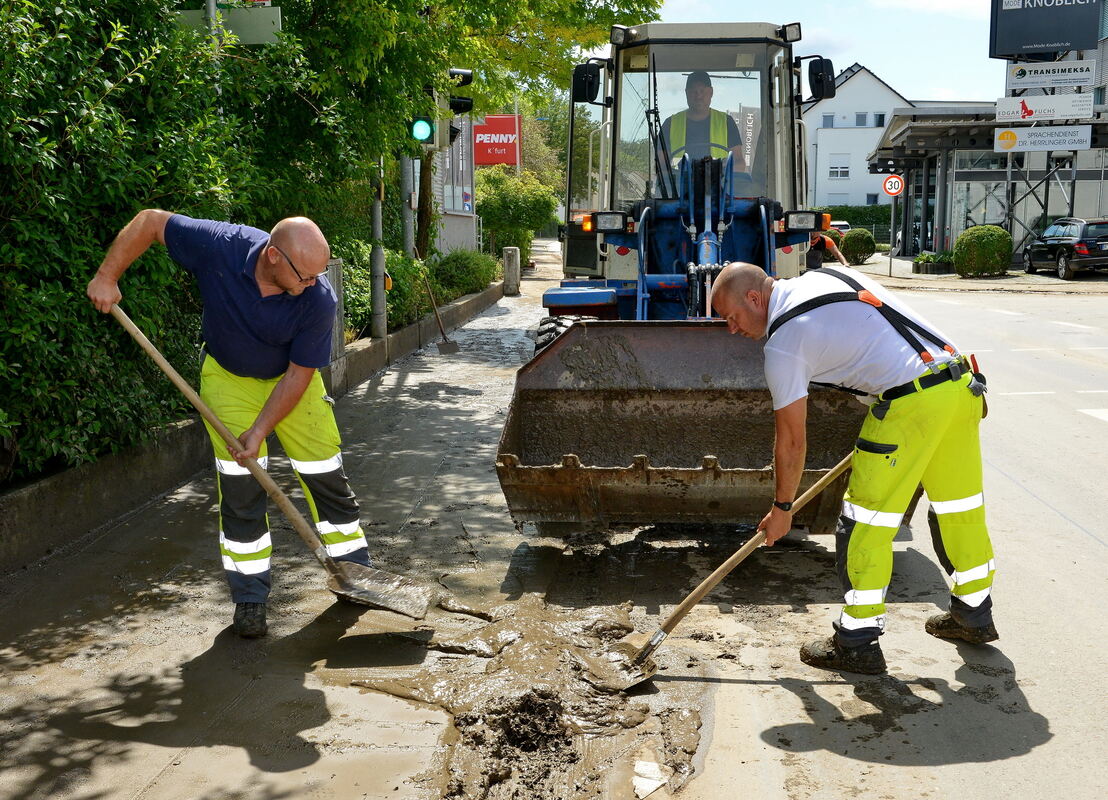 Krtu-3006-7Kfurt-Niethammer