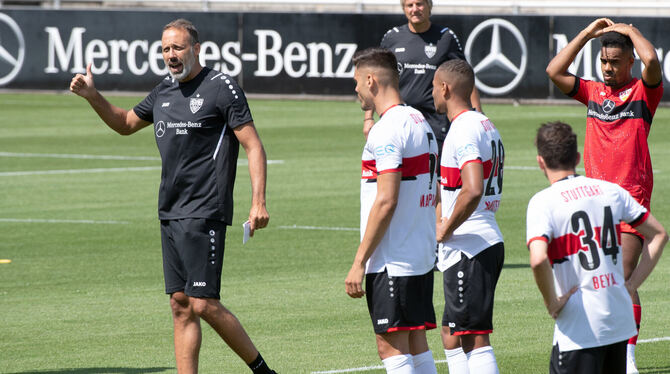 Cheftrainer Pellegrino Matarazzo (links) und seine Stuttgarter Mannschaft sind mit der ersten Trainingseinheit auf dem Platz im