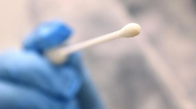 Coronavirus Coronavirus