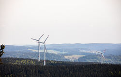 Im Schwarzwald drehen sich die Windräder, auf der Alb noch selten. FOTO: DITFURTH/DPA