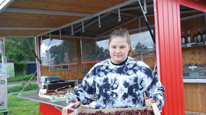 Dieses Jahr in der Region Neckar-Alb die Ausnahme: eine gut gefüllte Süßkirschenkiste mit prallen, glänzenden, heilen Früchten.