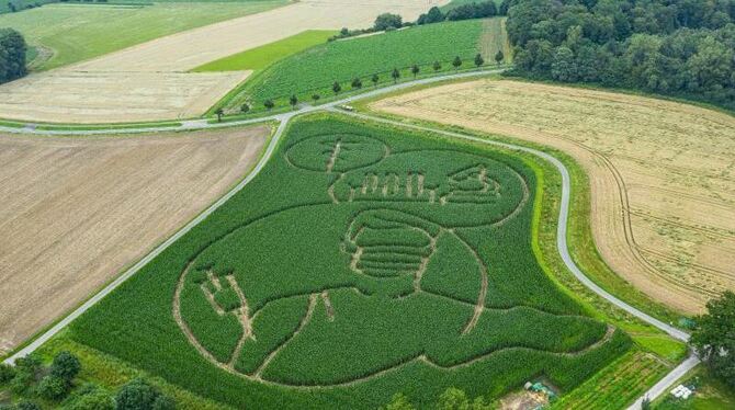 Maisfeld-Labyrinth