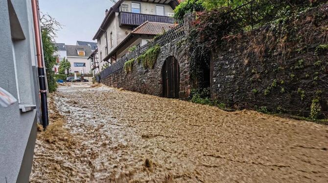 Wissenschaftler sieht schnelle Hilfen skeptisch