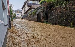 Wissenschaftler sieht schnelle Hilfen skeptisch