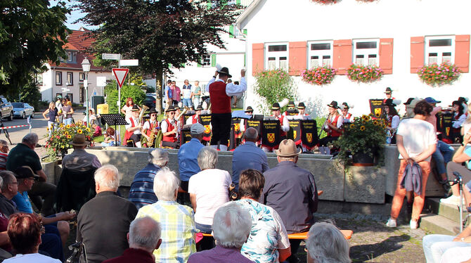 Der Musikverein Upfingen unter Leitung von Sebastian Volk begeisterte mit seinem Platzkonzert in der Dorfmitte. FOTO: LEIPPERT
