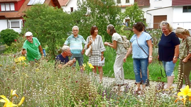 Dieter Siegler (von links), Gärtnermeister Reiner Wahl und die Gruppenmitglieder freuten sich über die Blütenpracht. FOTO: BÖHM