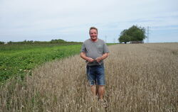 Markus Kern steht zwischen Weizenhalmen, die eigentlich goldgelb und viel höher sein müssten.  FOTO: BÖHM