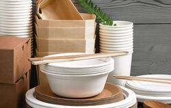 Von Pappe über Holz bis Bagasse: Plastikalternativen für Teller, Boxen und Besteck gibt’s schon einige.