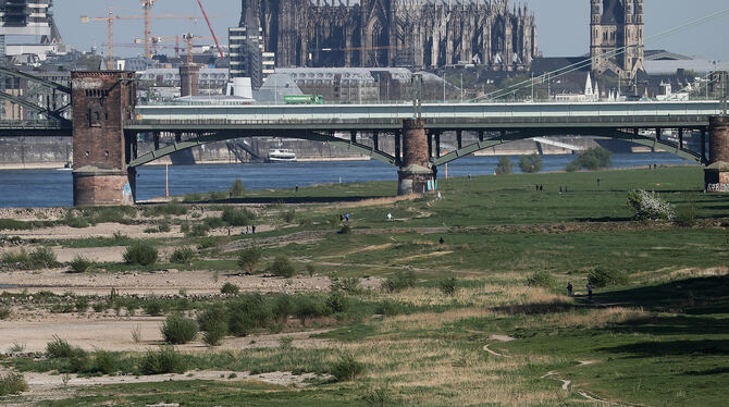 Die Klimaerwärmung ist in Deutschland angekommen: Wo sonst der Rhein durch Köln fließt, lagen im letzten Sommer die Sandbänke fr