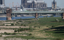 Die Klimaerwärmung ist in Deutschland angekommen: Wo sonst der Rhein durch Köln fließt, lagen im letzten Sommer die Sandbänke fr