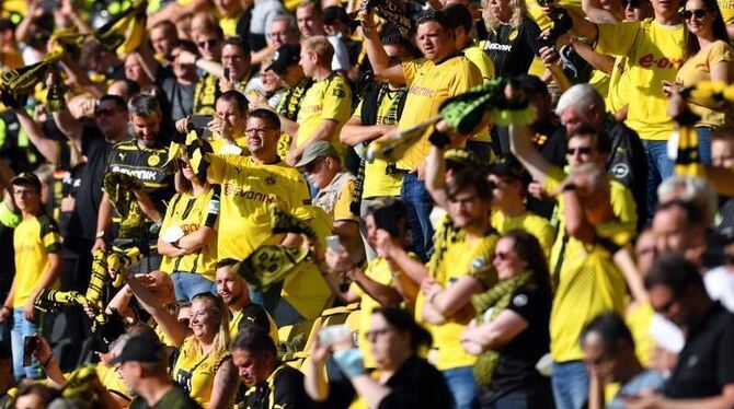 BVB-Fans BVB-Fans