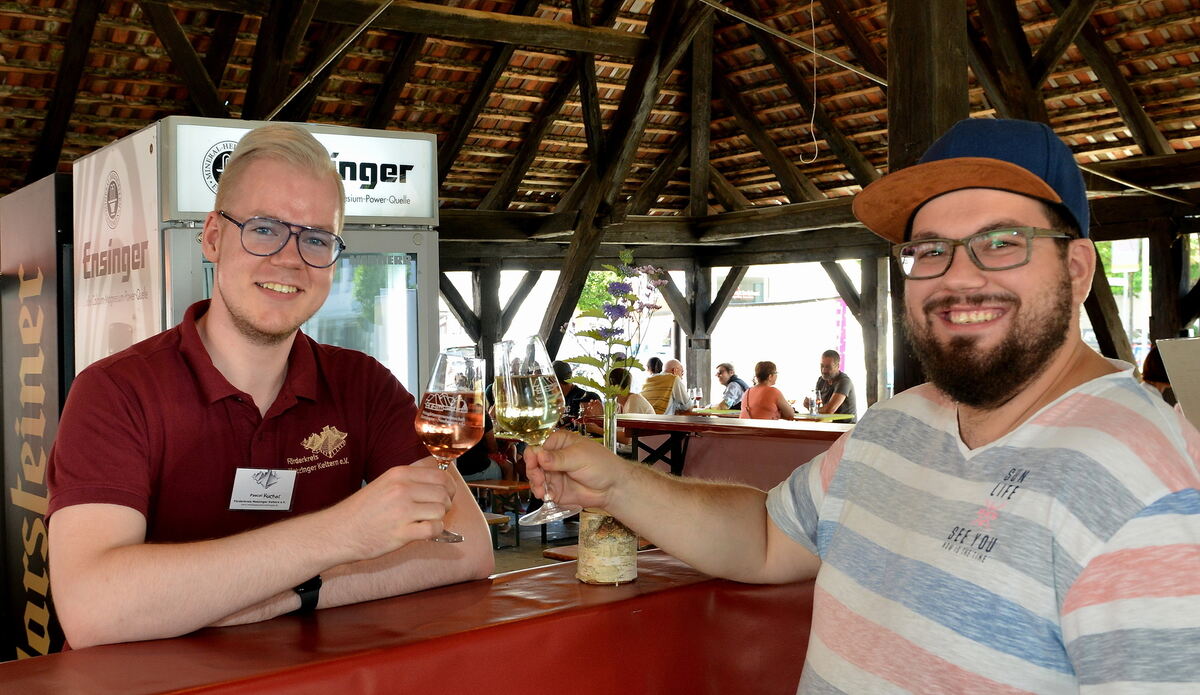 Erms-0609-1Weinkulturtag-Niethammer