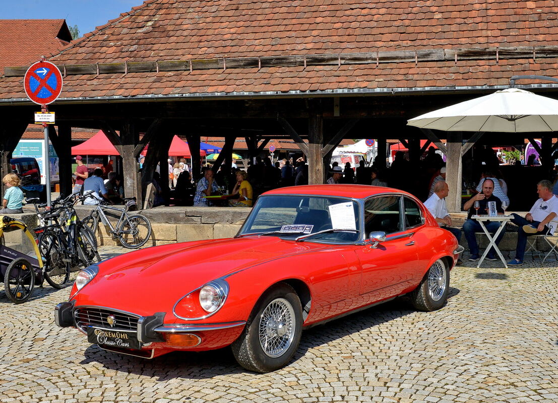 Erms-0609-19Weinkulturtag-Niethammer