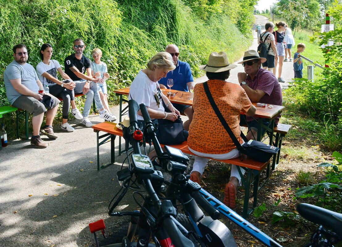 Erms-0609-25Weinkulturtag-Niethammer