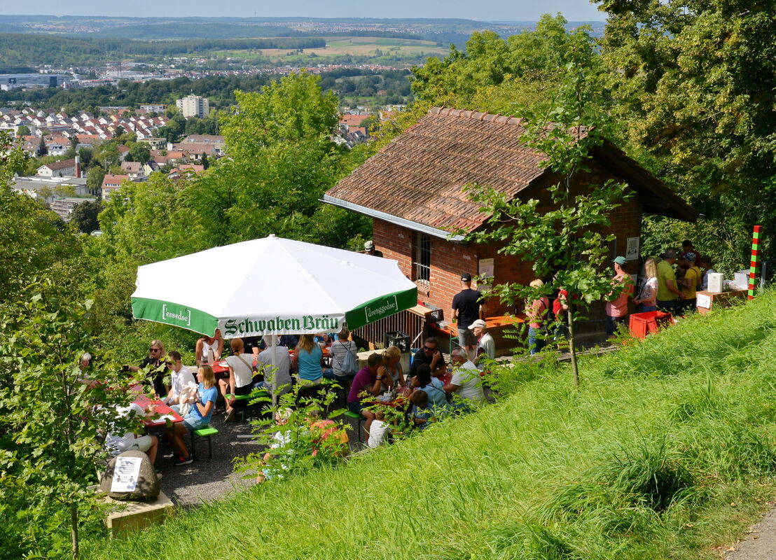 Erms-0609-27Weinkulturtag-Niethammer