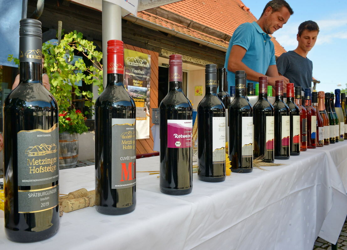 Erms-0609-16Weinkulturtag-Niethammer