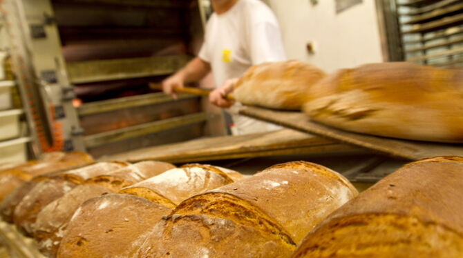 Ein Brotbackofen in einer Bäckerei. Bis dahin war es ein langer Weg. FOTO: DPA