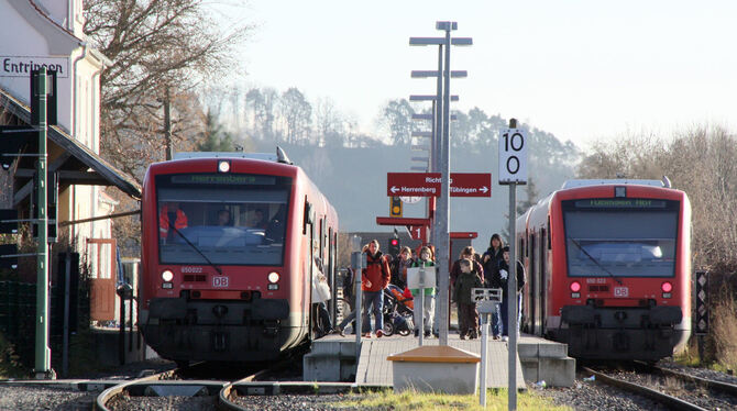 Links geht’s nach Herrenberg, rechts nach Tübingen: die Ammertalbahn in Entringen.  FOTO: ZMS