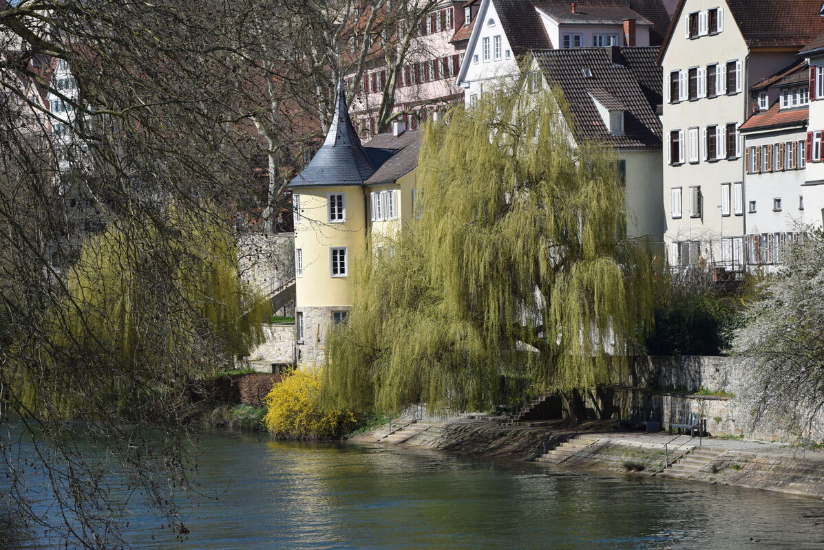 Tag des offenen Denkmals in Tübingen Ein Blick hinter die Kulissen