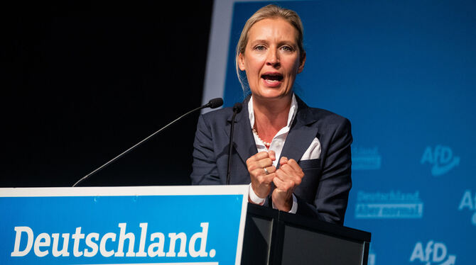 Alice Weidel (42) ist auch im Bund AfD-Spitzen- kandidatin. FOTO: SCHMIDT/DPA