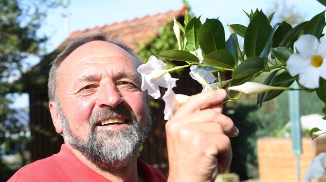 Am liebsten im Garten: Gerhard Knecht ist 30 Jahre lang Vorsitzender des Obst- und Gartenbauvereins Mittelstadt gewesen.  FOTOS: