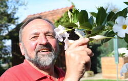 Am liebsten im Garten: Gerhard Knecht ist 30 Jahre lang Vorsitzender des Obst- und Gartenbauvereins Mittelstadt gewesen.  FOTOS: