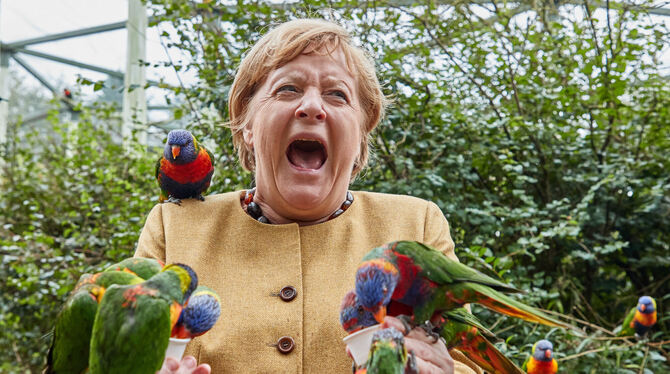 Angela Merkel Vogelpark Bundeskanzlerin, füttert australische Loris im Vogelpark Marlow und wird dabei gebissen.
