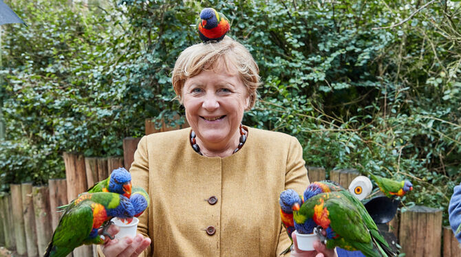 Angela Merkel Vogelpark Bundeskanzlerin Angela Merkel besucht den Vogelpark Marlow