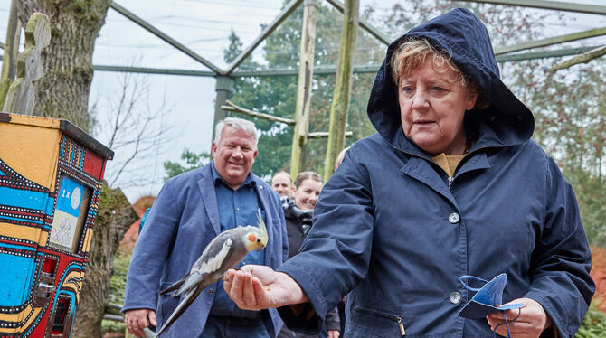Die Vögel fressen Angela Merkel aus der Hand.