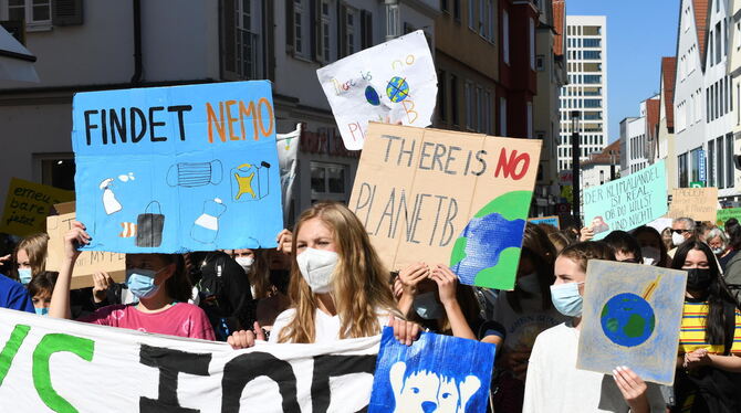 Eindeutige Parolen stehen auf selbstgebastelten Schildern.