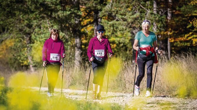 Stöckles-Cup in Trochtelfingen: Am Sonntag, 10. Oktober, geht es auf drei unterschiedlich lange Strecken. Start ist beim Alb-Gol